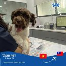 Enjoy | ✈️연말, 베트남🇻🇳에서 대만🇹🇼으로 떠난 엔조이(Enjoy)의 해외 이동 후기