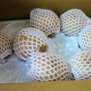 대남농장 이미지