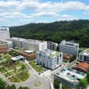 진황도로 61길 이미지