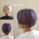 천연머리염색 이미지