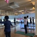 좌우대칭, 매트 필라테스 이미지