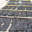 불이채민박 이미지