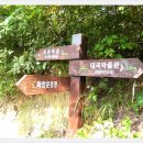 대곡농로 Daum카페