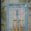 디토헤어 - 제주시 진군중길 8 | 디토헤어