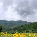 사조동 이미지