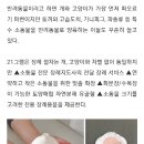 '햄스터, 기니피그, 고슴도치, 도마뱀..' 21그램, 소동물 장례서비스 개시 이미지