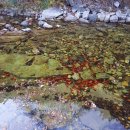 (주)농업회사법인오케이 이미지