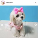 뭉개뭉개 이미지