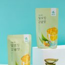 프롬제주 이미지