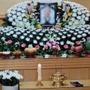 신용수목장 네이버블로그
