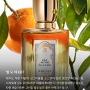 질소소독빵