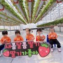 숲속예능어린이집 이미지