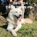 바람소리새소리 | 🐾 [반려견 동반 장소 추천] 강화도 전등사 후기 🐶 반려견 입장 가능한 힐링 사찰