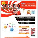 화성밧데리할인점 이미지