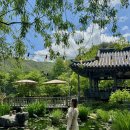 민들레애견 | 거창 카페 계곡과 정원의 하모니 '민들레울' 내돈내산 후기 애견동반가능