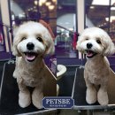 벤지동물병원 이미지