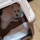 벨라켄넬 이미지