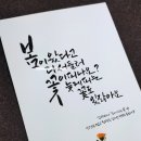 늦게 피는 꽃 이미지