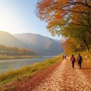 금강4교 간이화장실 | 가볍게 걷기 좋은 2시간 순환 트레킹 명소, 충북 영동 금강 둘레길