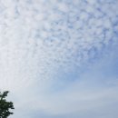 빛가람동 호수공원 이미지