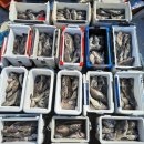 안흥내항 나래교 이미지