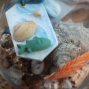 바다를 담은 석고방향제 이미지