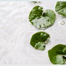 파랑새플란트 치과의원 이미지