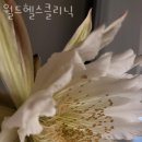 헬스월드 이미지
