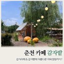 춘천 가볼만한곳 감자밭 카페 감자빵 옥수수빵 감자라떼 내돈내산 솔직 후기