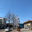 스타세차천국 이미지