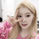 코코들 이미지