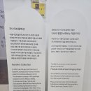 노래하는 | 서울시립미술관 광복80주년 가나아트컬렉션 특별전 《서시: 별을 노래하는 마음으로》 후기
