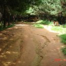 양정1동-30 이미지