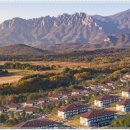 (주)이랜드파크 켄싱턴리조트 설악밸리 이미지