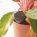 원예가드닝 이미지