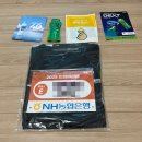 (주)인천교통 | 인천마라톤2025 여자 풀코스 완주 순위 언덕 후기 기록 PB갱신