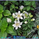 난곡동-13 이미지