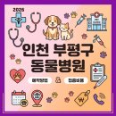 조재진동물병원 | 인천 부평구 동물병원 예약 방법 바로가기 접종 비용 2026