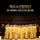 보니기획