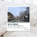 원주두리캠핑장 | [원주] 원주캠핑장 원주두리캠핑장 솔직후기