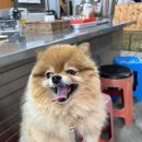 북마산분식