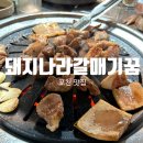 돼지나라 | 괜찮은데 고기의 질도 중요하다고 생각하는 사람이라면 가야할 곳 "돼지나라 갈매기꿈" 내돈내산 후기