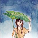 빨강머리 이미지