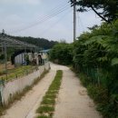 금정농장(2) 이미지