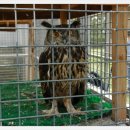 부산야생동물치료센터 이미지