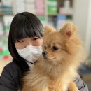 온양동물병원 이미지