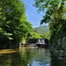 곡성-268 | 곡성펜션 추천! 계곡과 정원이 이쁜 곡성나무펜션