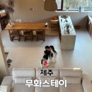 미랑목장 | 제주 신상 독채 무화스테이 내돈내산 감성숙소