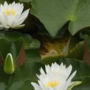 이천시 설봉공원 국궁장 이미지