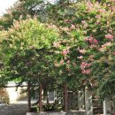 고려동유적지 이미지